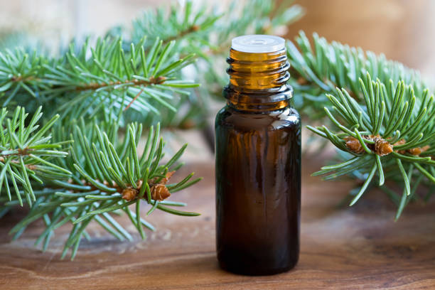 istock A bottle of spruce essential oil 838946252