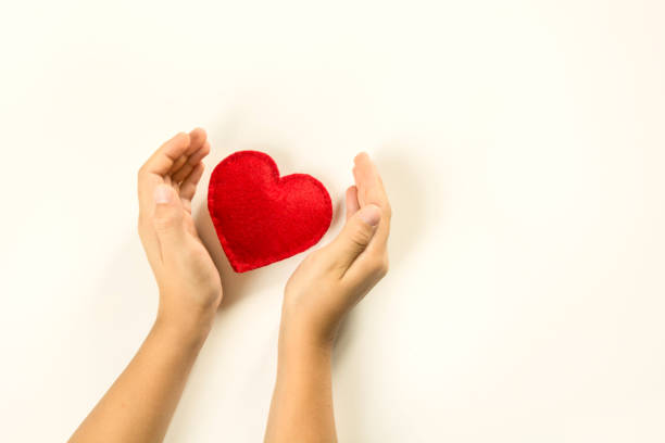 istock Felt red heart in childs hands on white background. View from above. 838948972