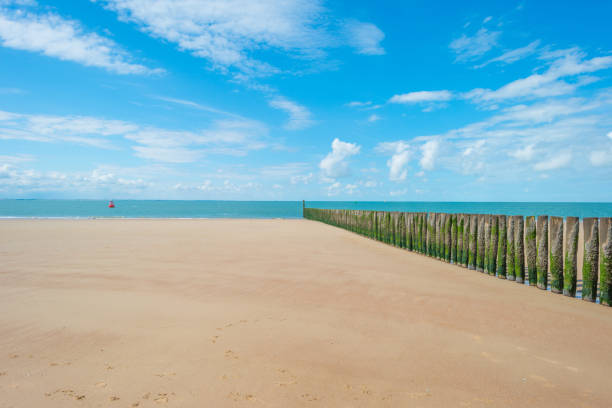 istock Blue cloudy sky over a sand beach along the sea in summer 838958854