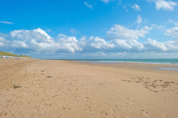 istock Blue cloudy sky over a sand beach along the sea in summer 838962090