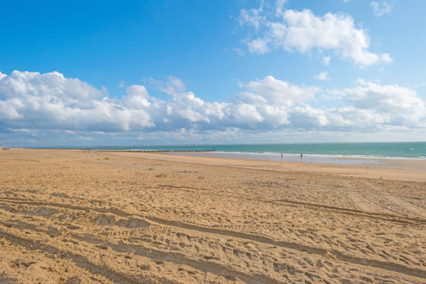 istock Blue cloudy sky over a sand beach along the sea in summer 838962232
