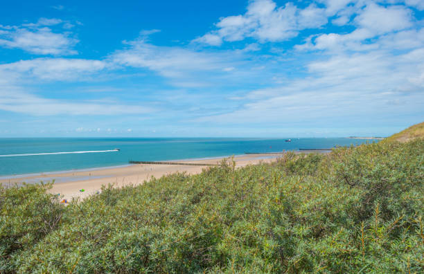 istock Blue cloudy sky over a sand beach along the sea in summer 838962830