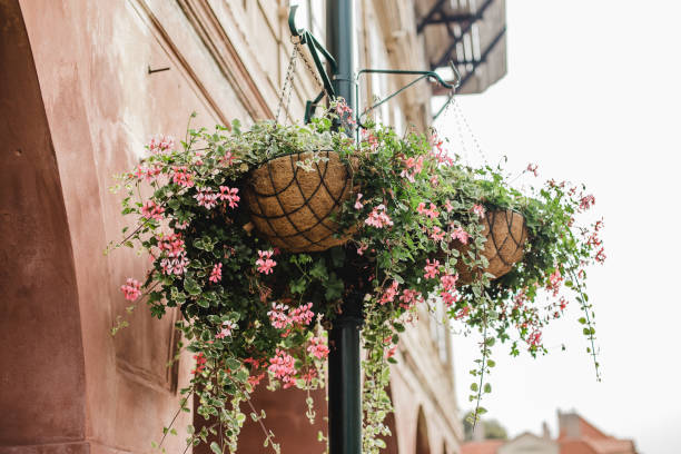istock prague town czech republic 838974862