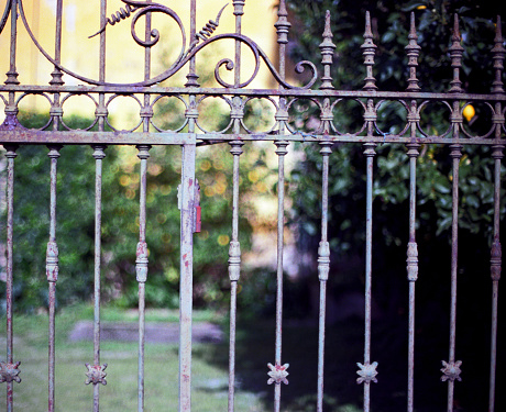 iron gate in focus with blurred background. Scan of Kodak Ektar film