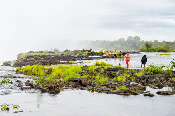 río de zambezi en la isla de livingstone - livingstone island fotografías e imágenes de stock