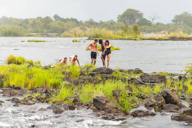 río de zambezi en la isla de livingstone - livingstone island fotografías e imágenes de stock