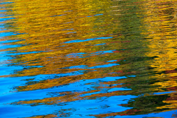istock Autumn colours reflected in rippled lake 838990338