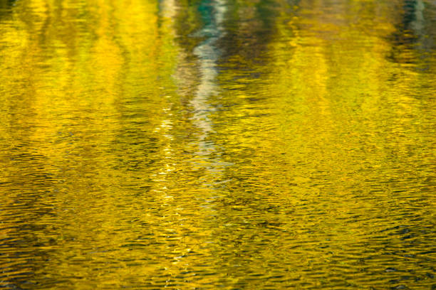 Autumn colours reflected in rippled lake