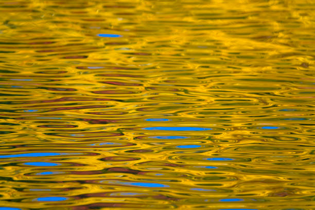istock Autumn colours reflected in rippled lake 838990346