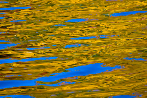 istock Autumn colours reflected in rippled lake 838990364