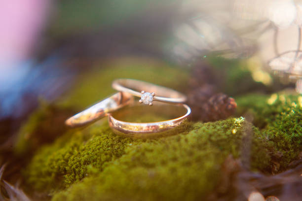 istock Three golden wedding rings on the moss background. 838996606