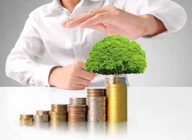 istock Hand human hand putting coin to money 838999650