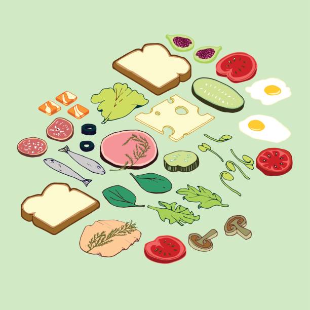 ilustrações, clipart, desenhos animados e ícones de partes do sanduíche - sandwich turkey bread toast