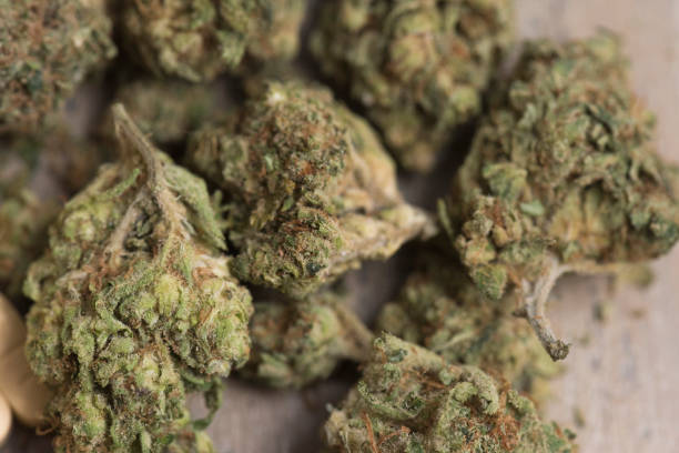 istock Marijuana buds covering table, cannabis background 839007874