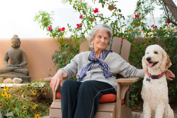 istock Senior Woman with Standard Poodle in Backyard 839014282