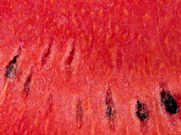 istock Texture of freshness red watermelon 839017960