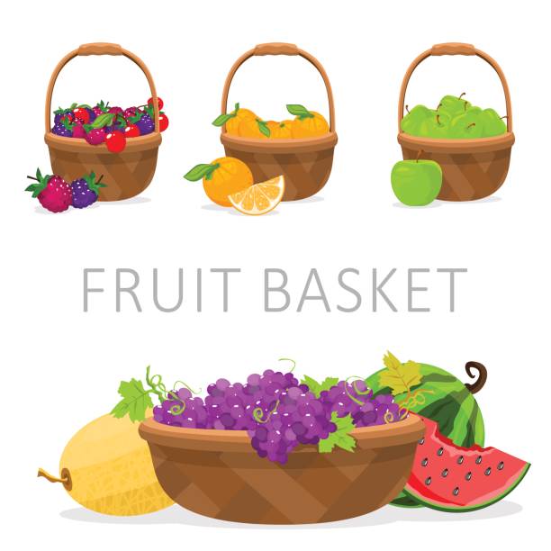 과일 바구니입니다. 벡터 일러스트 레이 션 - basket apple wicker fruit stock illustrations