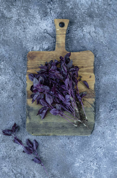 istock fresh basil on a wooden desk on a blue background, top view. copy space 839022028