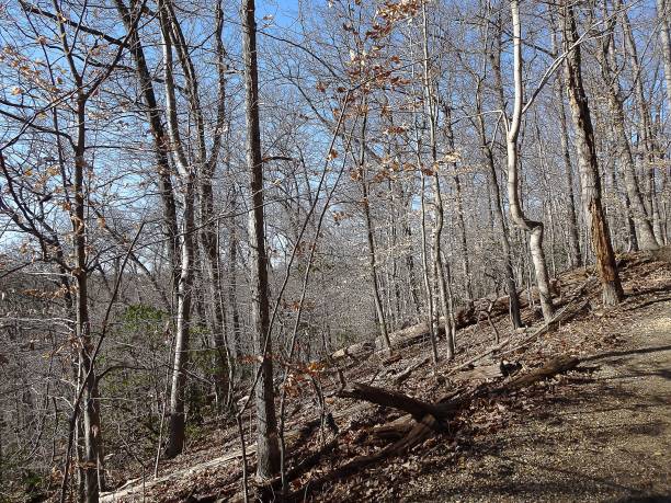 istock winter in Rock Creek Park 839025360