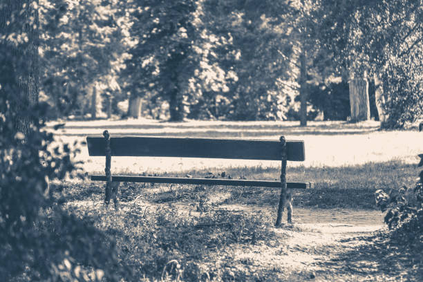 foto antiga vintage. banco de jardim verão dia ensolarado - dirty bench empty park - fotografias e filmes do acervo