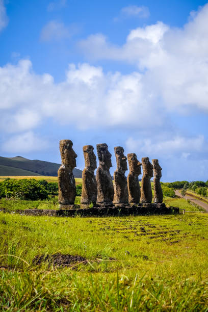 moais statues, ahu akivi, easter island - polynesia moai statue island chile imagens e fotografias de stock