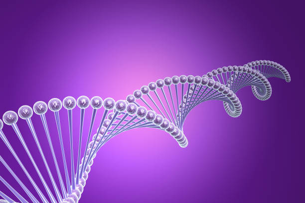 istock model of twisted DNA chain 839029544