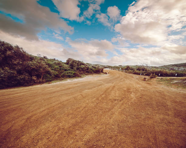 off-road nas florestas, perth. adicionar filtro de tonificação vintage. - lama solo - fotografias e filmes do acervo