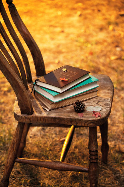 istock Books on old wooden chairs 839041932