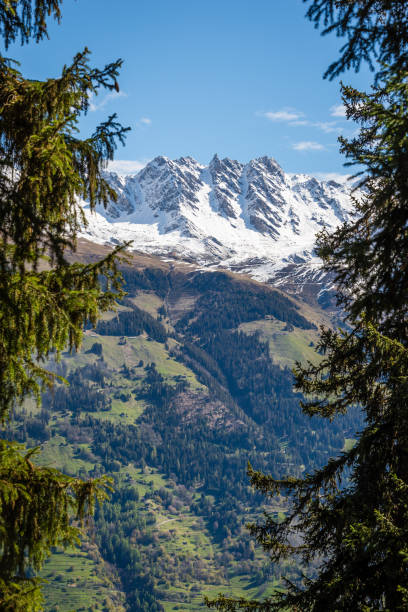 The transition from winter to summer in the Swiss alps, the peaks of the mountains still harbour a lot of snow but the valleys become green and full of meadows.
