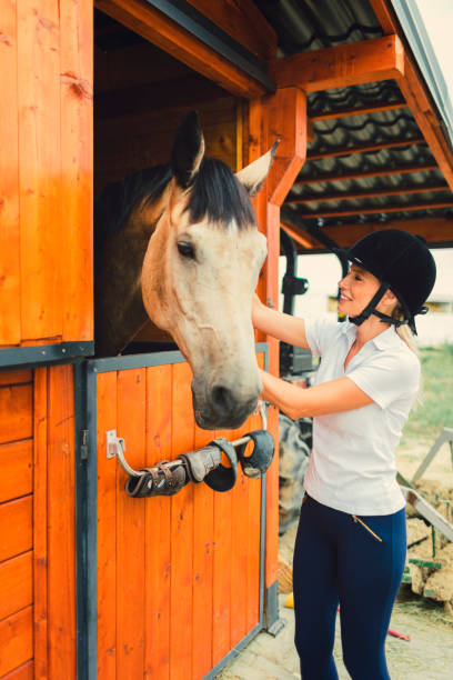 istock Woman in a barn with her horse 839053336