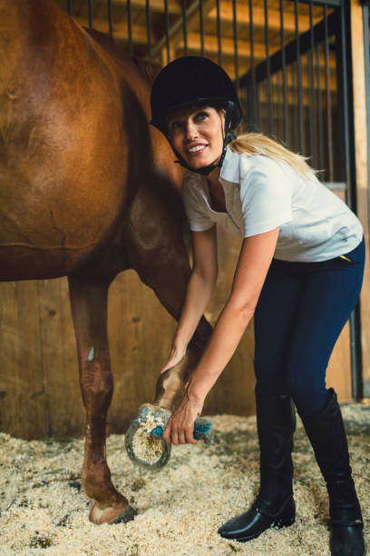 istock Woman in a barn with her horse 839056318