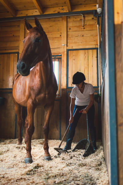 istock Woman in a barn with her horse 839056426