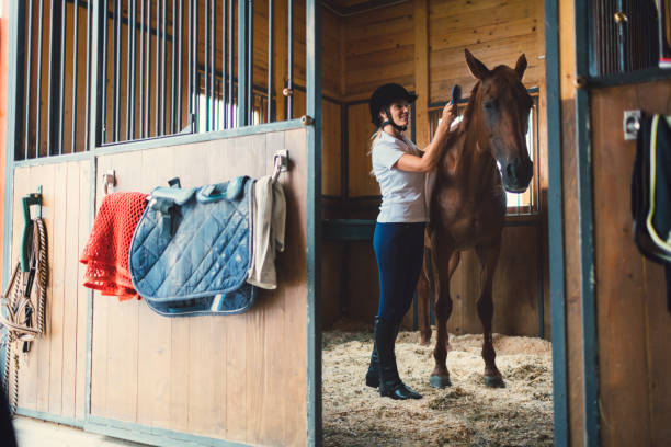 istock Woman in a barn with her horse 839056436