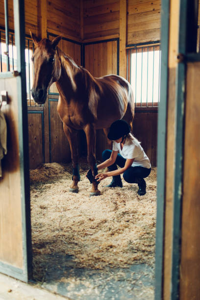 istock Woman in a barn with her horse 839057218