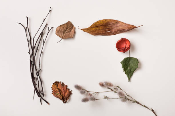 istock Frame made of autumn leaves 839060270