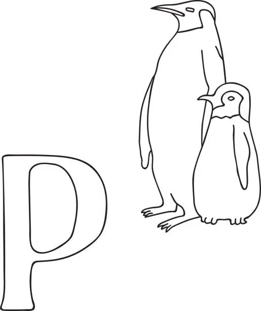 Vector illustration of Vector hand drawn illustration capital letter P on alphabet card. Black and white realistic penguins isolated. Kids ABC, school education. Coloring page