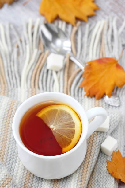istock Cup of hot tea with lemon and woolen scarf 839082036