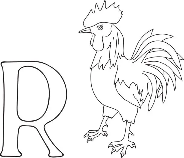 Vector illustration of Vector hand drawn illustration capital letter R on alphabet card. Black and white realistic rooster isolated. Kids ABC, school education. Coloring page