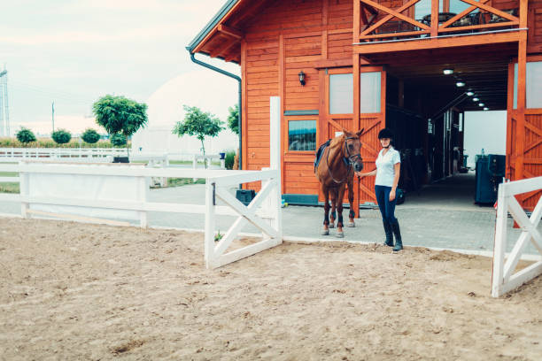 istock Female rider with her horse 839090356
