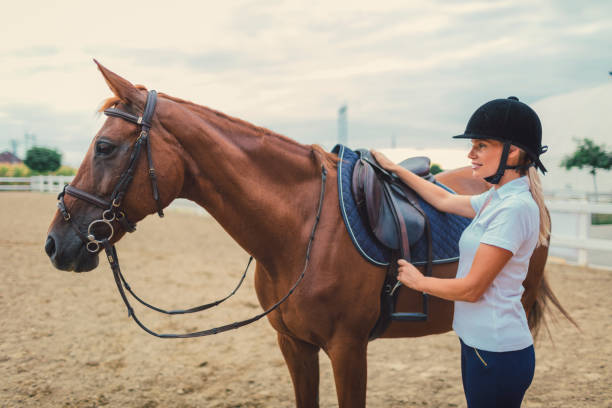 istock Female rider with her horse 839090524