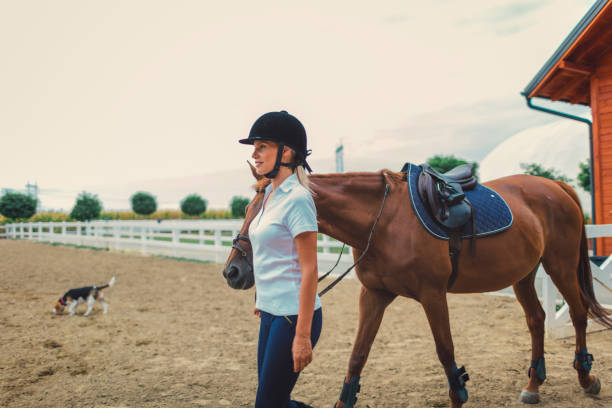 istock Female rider with her horse 839090556