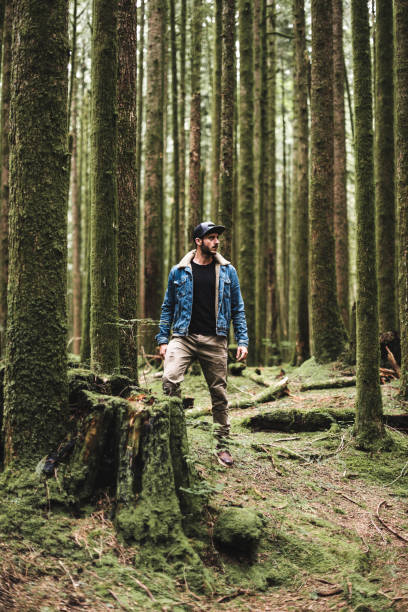 istock solitude traveler walking into the wood 839097974