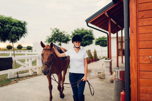 istock Female rider with her horse 839098254