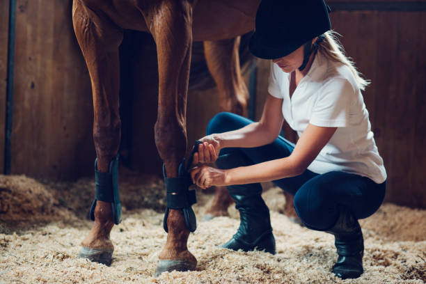 istock Woman in a barn with her horse 839103926