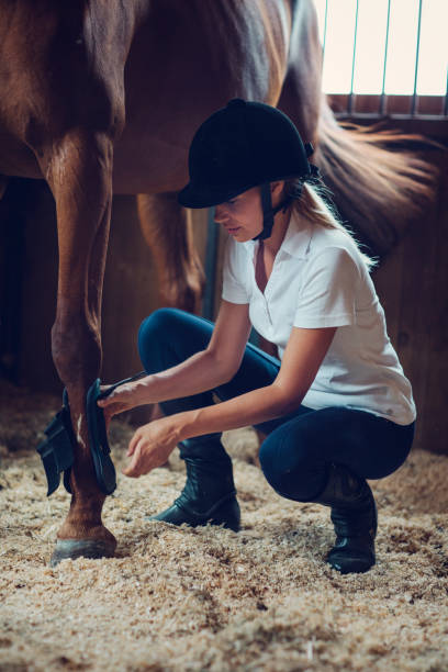 istock Woman in a barn with her horse 839104372