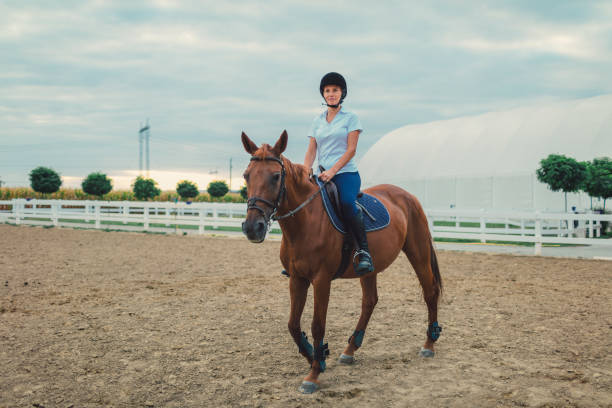 istock Female rider on training with her horse 839113196