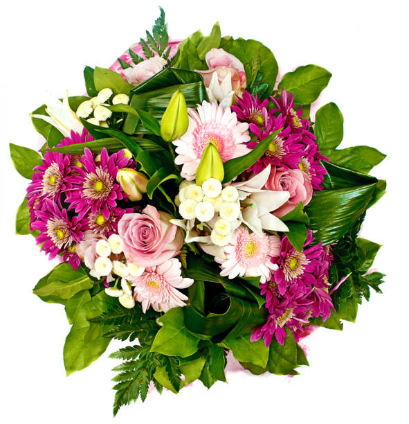 istock bunch of pink flowers isolated on white background 839113498
