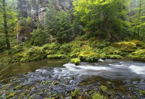 istock The Czech-Saxon Switzerland. 839113838