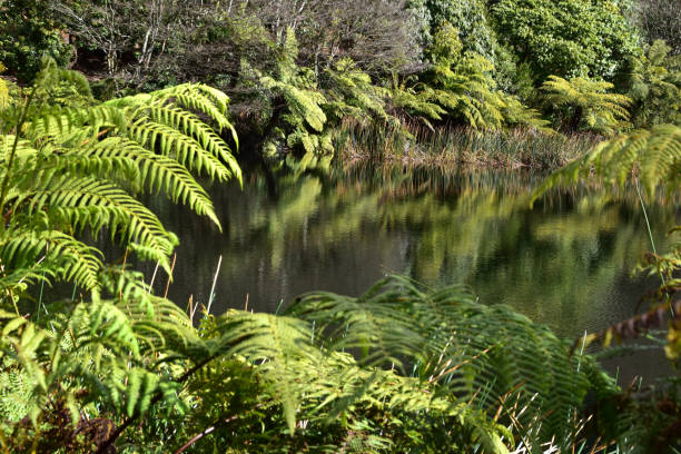 istock Rhododendron National Park 839119588