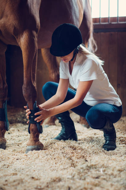 istock Woman in a barn with her horse 839126520